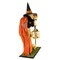 Bethany Lowe 20.0 Inch Potion Peddler Zelda Witch Halloween Figurine , Portable Halloween Decor Halloween Spells